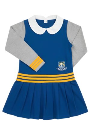 BSS-Girl frock